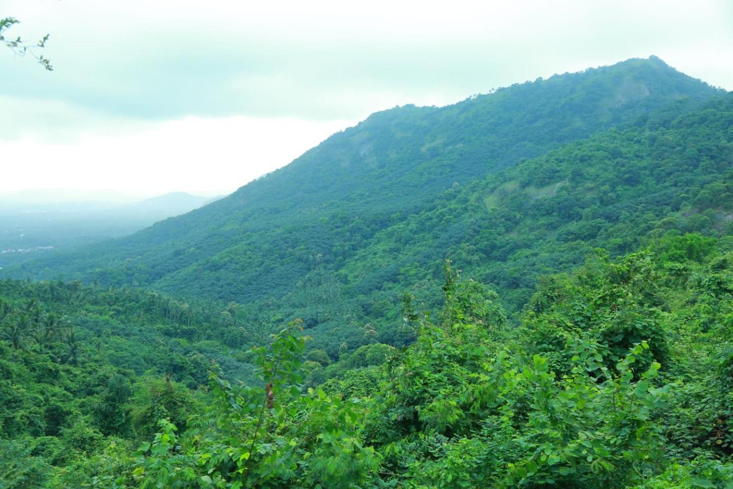 Whiteflower Mountain Resort Perintalmanna Ngoại thất bức ảnh